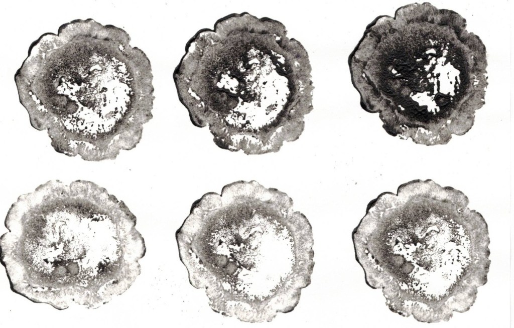 Prints of bitter melon